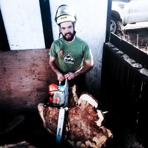 tree removal edmonton - worker with chainsaw
