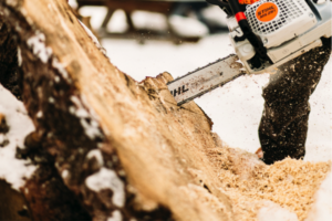 edmonton tree removal service - chainsaw removing trunk