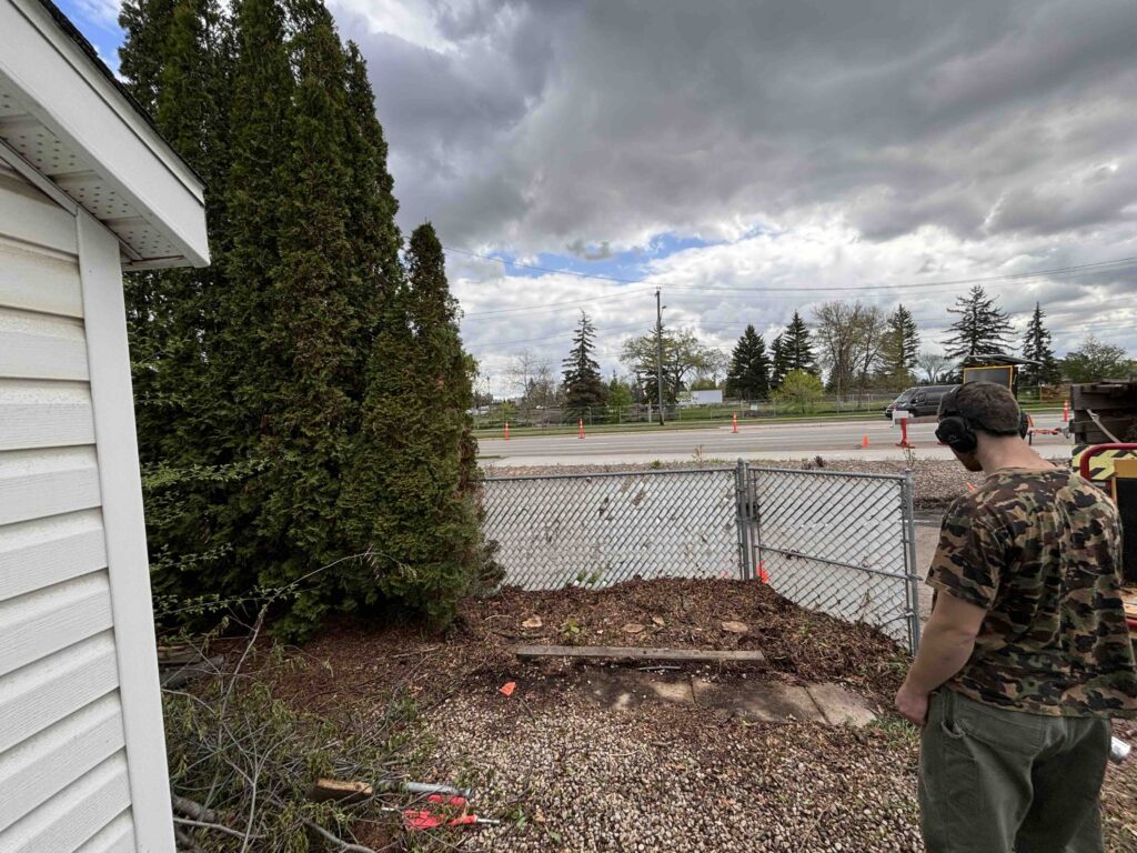 edmonton trees removed backyard white fence