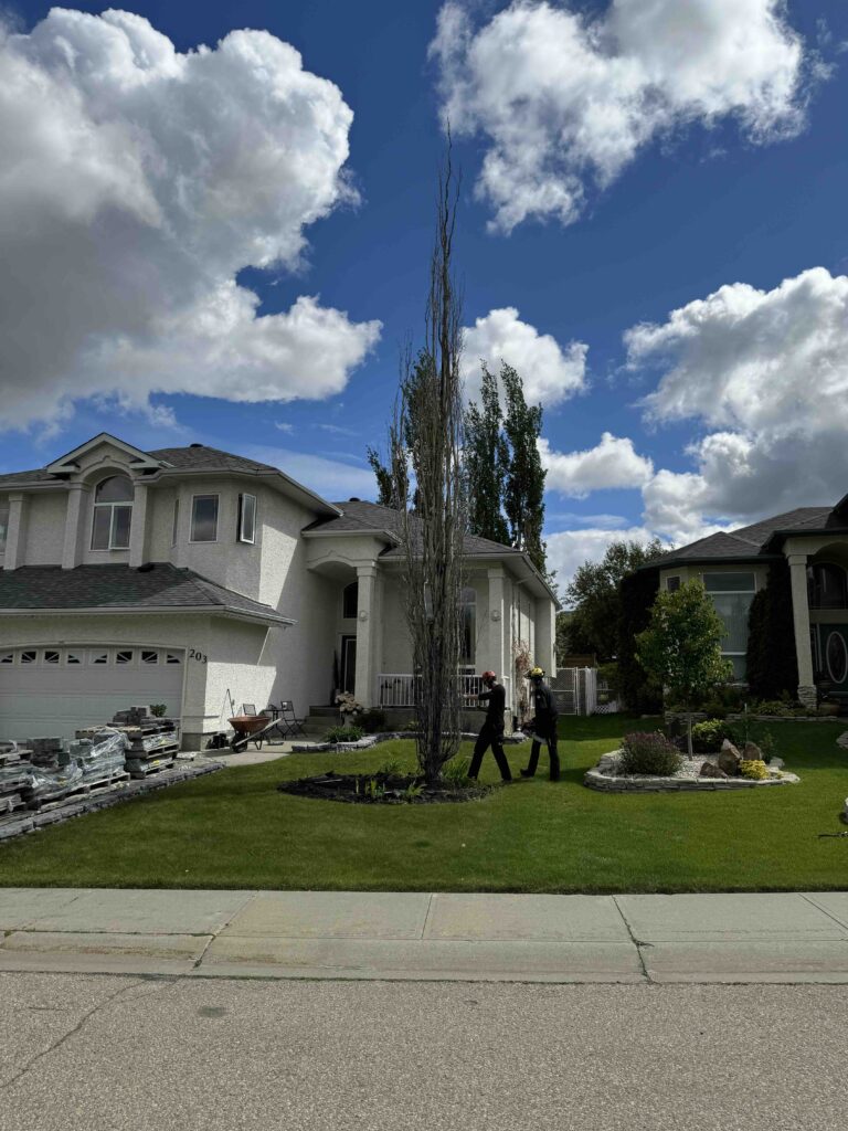 edmonton trees to be removed front yard green lawn